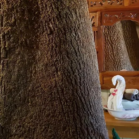 Les Robinsonades * Couladere